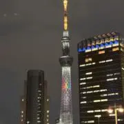kotoの画像