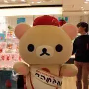 くまこの画像