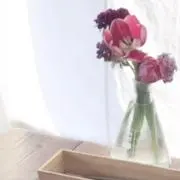 ぴのの画像