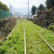 蒼の画像