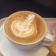 ソンヤの画像