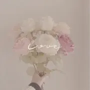 h＊ （ プロフ必読 ）の画像