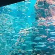 Saaaanyo【プロフ必読】の画像