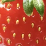 (_ _)の画像