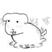 おかかの画像