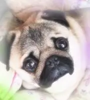 かりんこりん【プロフ必読で(^人^)】の画像