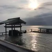 nkpbj