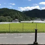 てぃーの画像