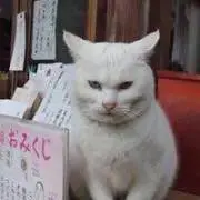 Pomme＊必ずプロフィール読んで下さいの画像