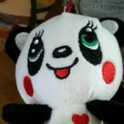 ぱんだの画像