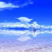 タイガーの画像