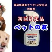 Lazyの画像