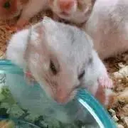 のののの画像