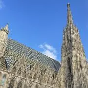 Yの画像