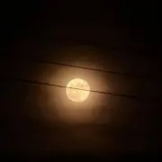 みさこじの画像