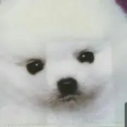 もかの画像