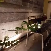 たくみ