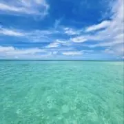 C Blueの画像