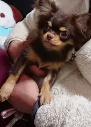 ゆう