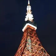 わにの画像