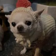 kの画像