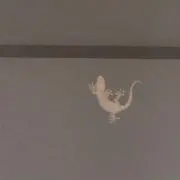 koccoの画像
