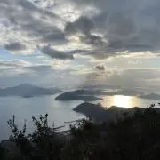 MOMOの画像