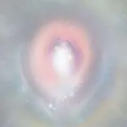 kaの画像