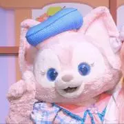 ねこたの画像