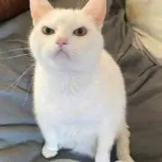 もやもやの画像