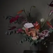 サンセット広場の画像