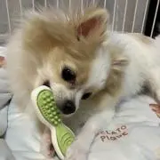 くうの画像