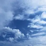 good dayの画像