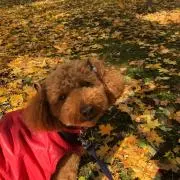 HIROの画像