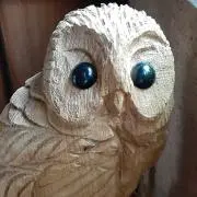 シノボ道の画像