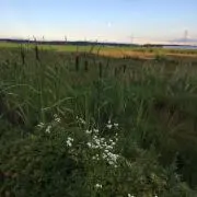ahchanの画像