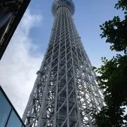 ソフィの画像