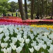 けんけんの画像