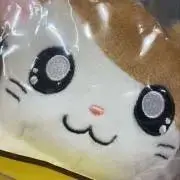 はむ子の画像