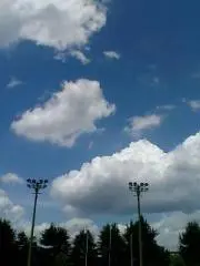 あおぞら°*♫*°の画像