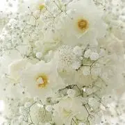 ぅた※購入前コメントください☻の画像