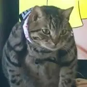 りり