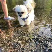 ユウの画像