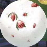 ぷーどるの画像