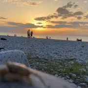 アムの画像