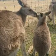 休業中ですが声をかけて下さいの画像