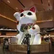 さんちゅうの画像