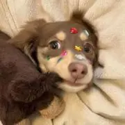 ね