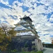 ここちの　次回発送8/25の画像