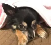 エリみんの画像